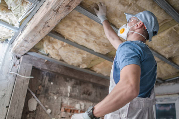 Best Local Insulation Services  in Stone Ridge, NY