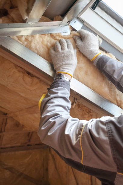 Best Insulation Replacement Services  in Stone Ridge, NY