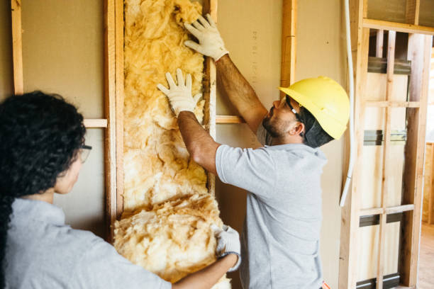 Best Attic Insulation Installation  in Stone Ridge, NY