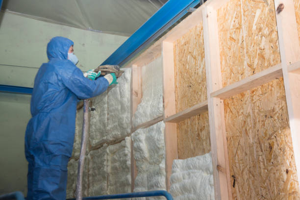 Best Spray Foam Insulation  in Stone Ridge, NY